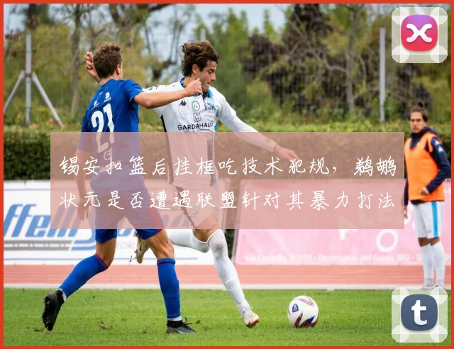 锡安扣篮后挂框吃技术犯规,鹈鹕状元是否遭遇联盟针对其暴力打法?